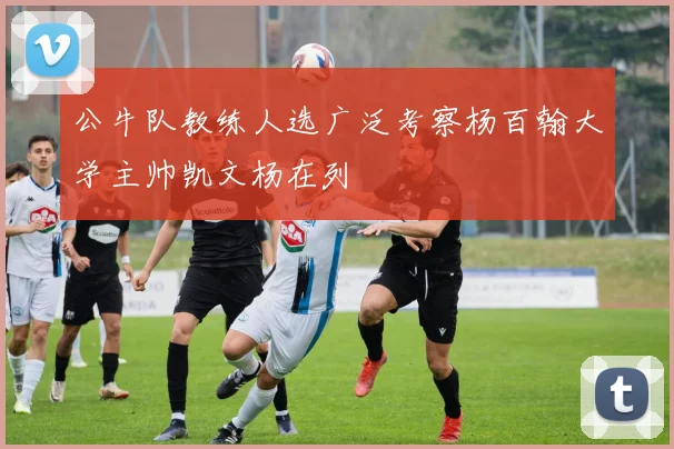 公牛队教练人选广泛考察杨百翰大学主帅凯文杨在列